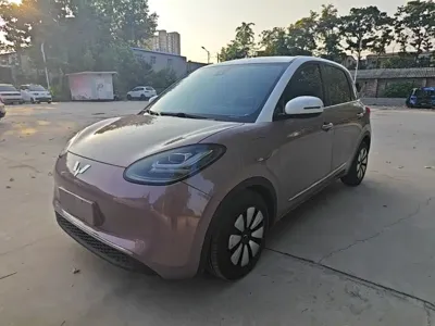 Wuling Bingo