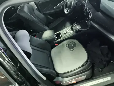 WEY Wey VV6