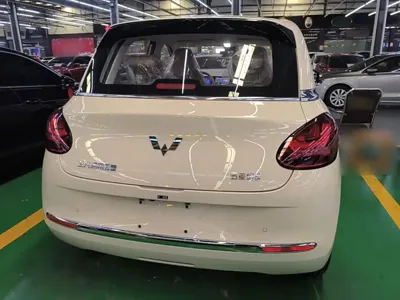 Wuling Bingo