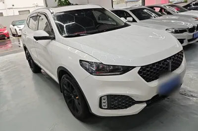 WEY VV6