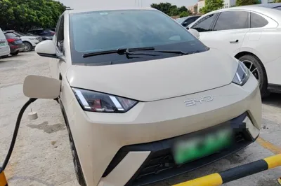 BYD Seagull