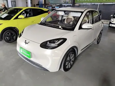 Wuling Bingo