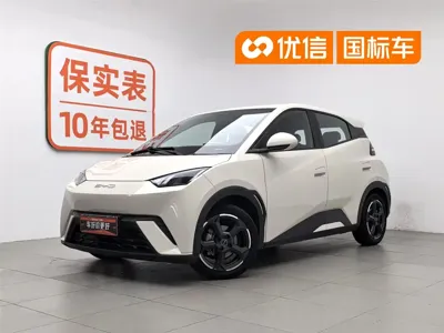 BYD Seagull