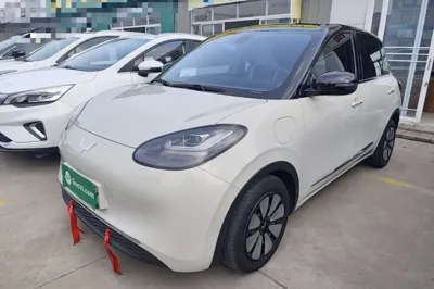 Wuling Bingo