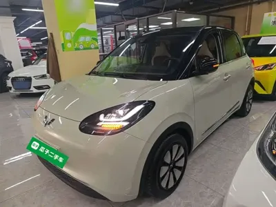 Wuling Bingo