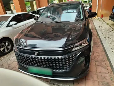 Landian Landian E5