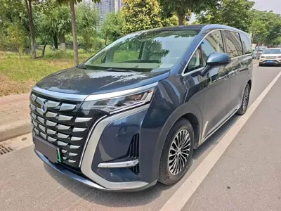Denza Denza D9