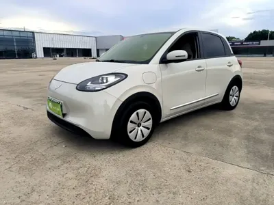 Wuling Bingo