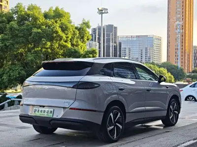 BYD 海狮06