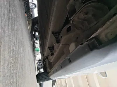 NETA Neta V