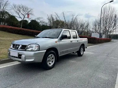 Nissan ZN Van