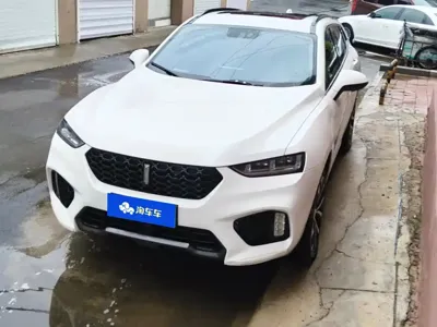 WEY Wey VV7