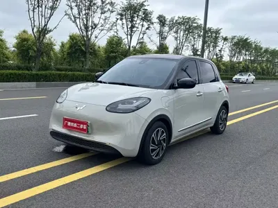 Wuling Bingo