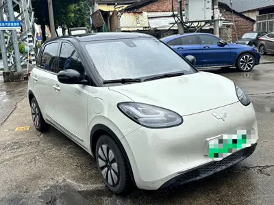 Wuling Bingo
