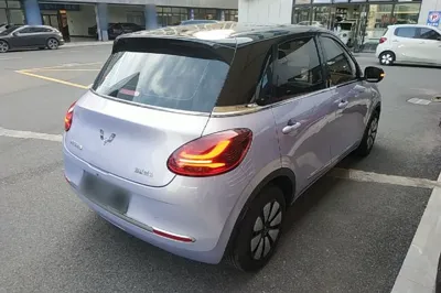 Wuling Bingo