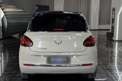 Wuling Bingo