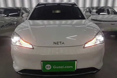 NETA V