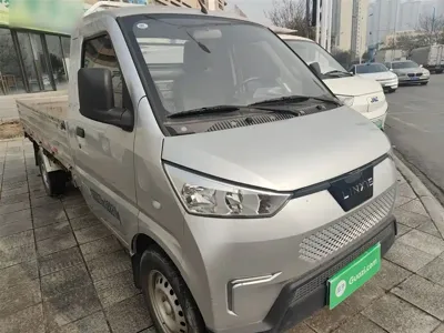 Wuling 五菱电卡