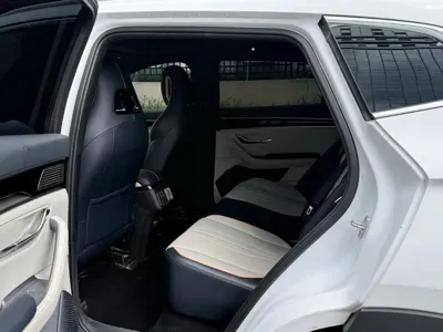 BYD PLUS New Energy
