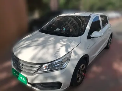 Baojun 310