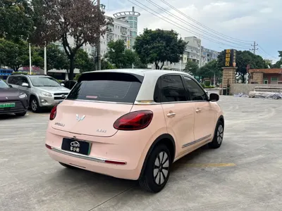 Wuling Bingo