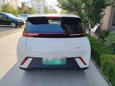 BYD Seagull