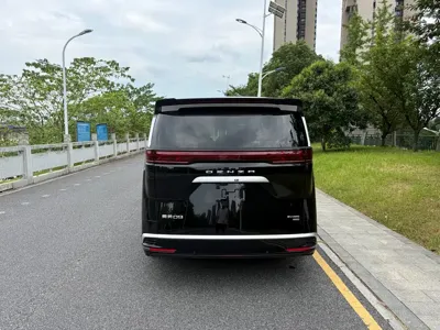 Denza Denza D9