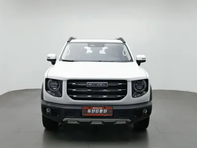Haval Big Dog