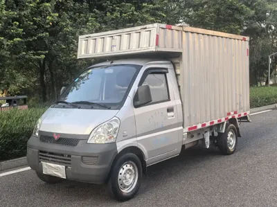 Wuling Rongguang Mini Truck