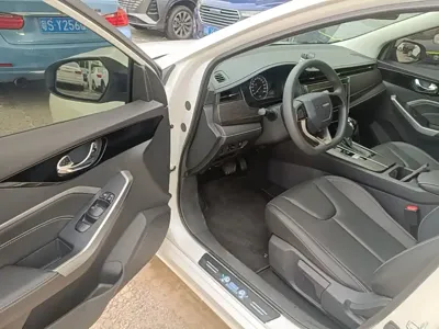 Venucia D60