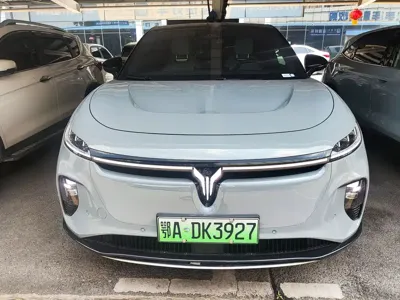 Voyah Zhiyin
