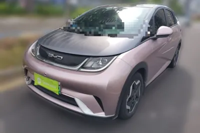BYD Dolphin