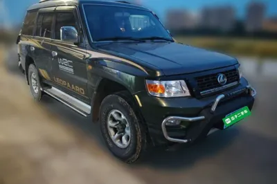 Leopaard Q6