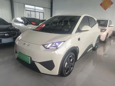 BYD Seagull