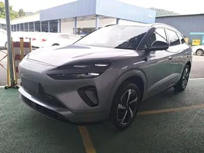 BYD 海狮06