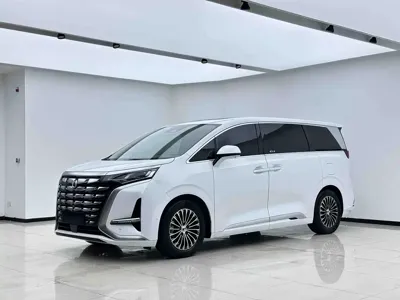 Denza Denza D9