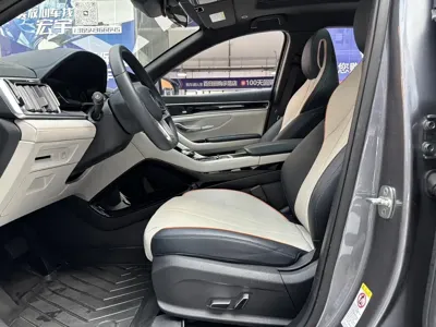 BYD PLUS New Energy