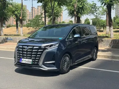 Denza Denza D9