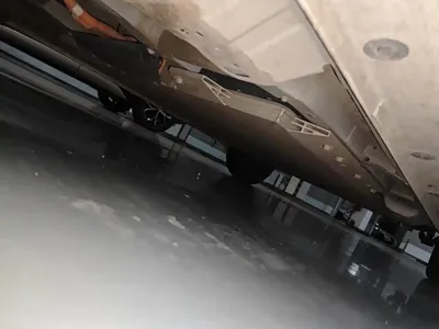 ORA Ora Black Cat