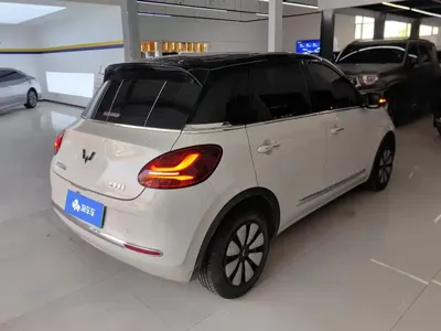 Wuling Bingo