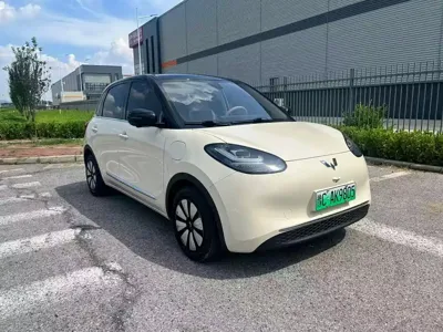 Wuling Bingo