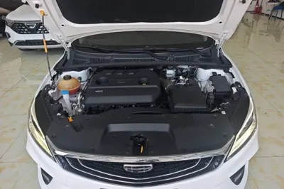 Geely Auto Binray