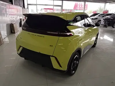 BYD Seagull