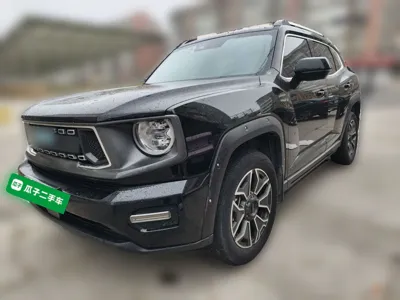 Haval H Dog New Energy