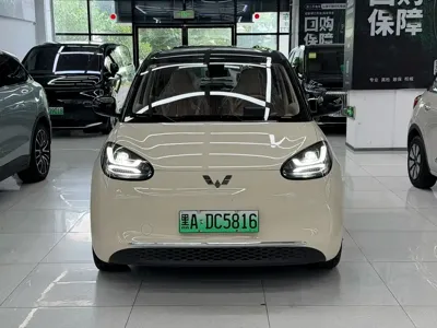 Wuling Bingo