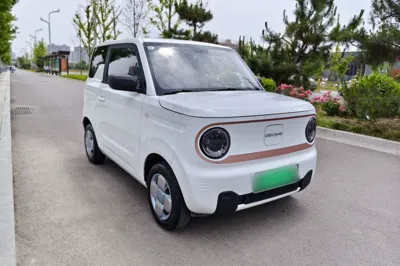 Geely Galaxy Panda