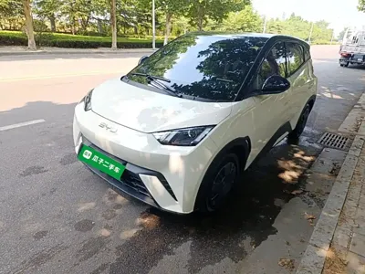 BYD Seagull