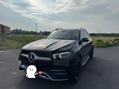 Mercedes-Benz 奔驰GLE(进口)