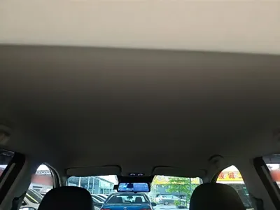 NETA Neta V