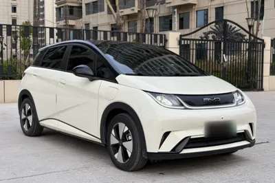 BYD Dolphin